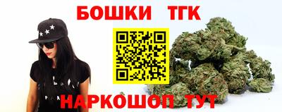 прущие грибы Заводоуковск