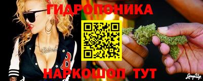 прущие грибы Заводоуковск