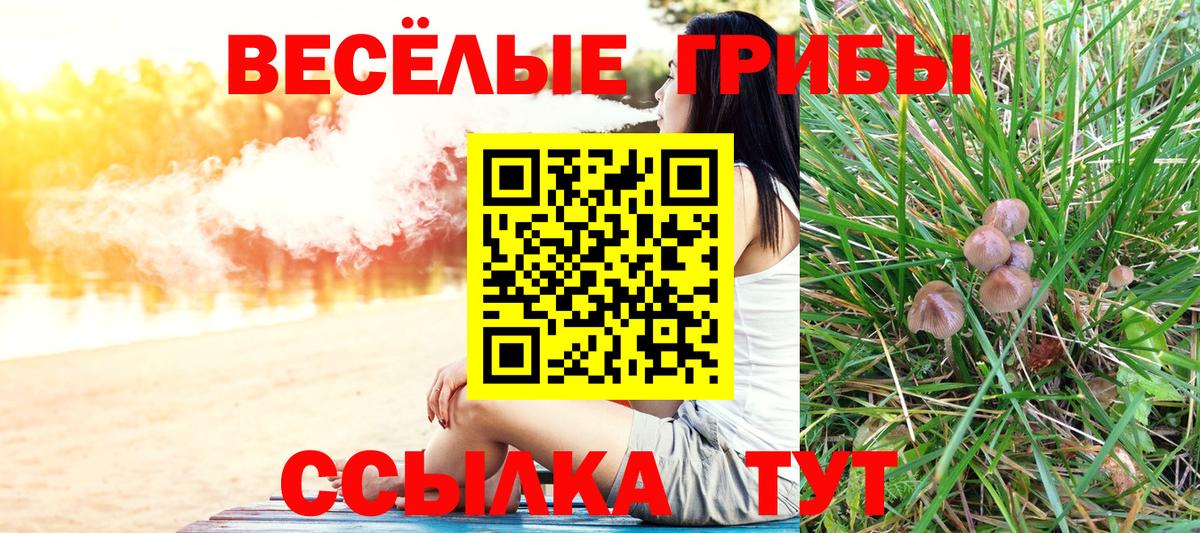 Галлюциногенные грибы мицелий Дюртюли