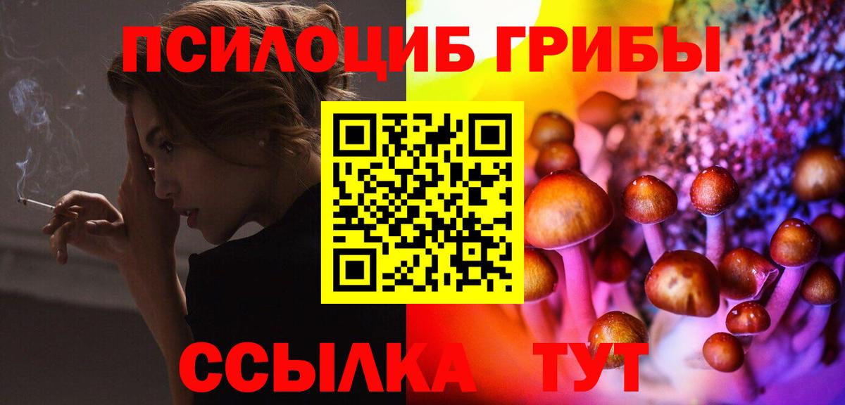 Псилоцибиновые грибы Psilocybine cubensis  Вход с VPN  Дюртюли 